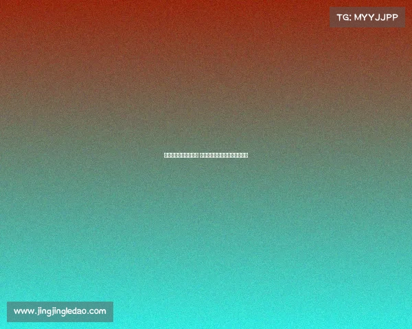 若雅克松若最终未离队 切尔西愿意继续让其留在一线队