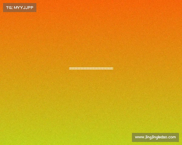 德甲联赛最新动态解析：聚焦赛季表现、球队战术与球员转会热点