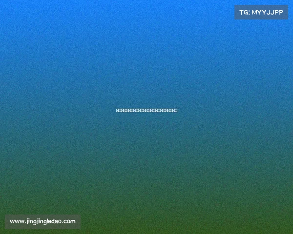 法甲球探体系分析及其在全球足球人才挖掘中的独特优势