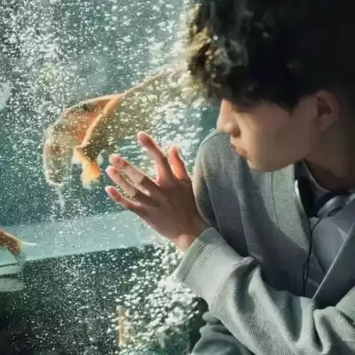 彭绿春